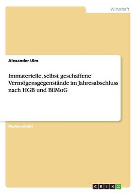 Immaterielle, Selbst Geschaffene Vermogensgegenstande Im Jahresabschluss Nach Hgb Und Bilmog (Paperback)