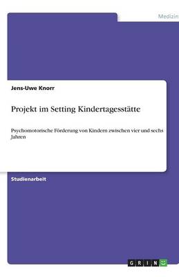Projekt Im Setting Kindertagesstatte (Paperback)