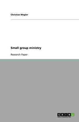 Small Group Ministry (Paperback)