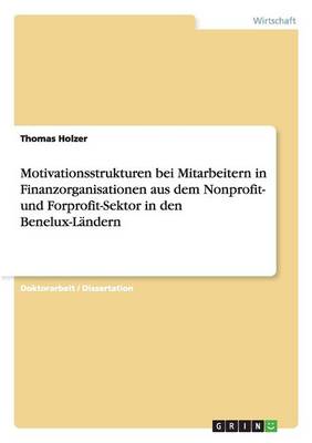 Motivationsstrukturen Bei Mitarbeitern in Finanzorganisationen Aus Dem Nonprofit- Und Forprofit-Sektor in Den Benelux-Landern (Paperback)