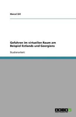 Gefahren Im Virtuellen Raum Am Beispiel Estlands Und Georgiens (Paperback)