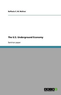 The U.S. Underground Economy (Paperback)