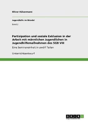 Partizipation Und Soziale Exklusion in Der Arbeit Mit Mannlichen Jugendlichen in Jugendhilfemassnahmen Des Sgb VIII (Paperback)