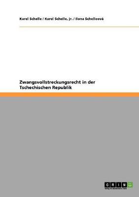 Zwangsvollstreckungsrecht in Der Tschechischen Republik (Paperback)