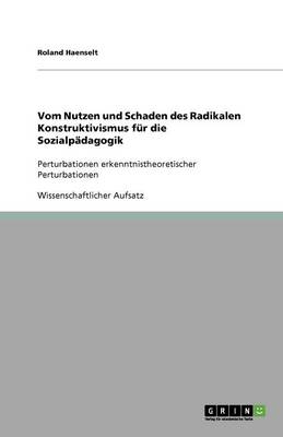 Vom Nutzen Und Schaden Des Radikalen Konstruktivismus Fur Die Sozialpadagogik (Paperback)
