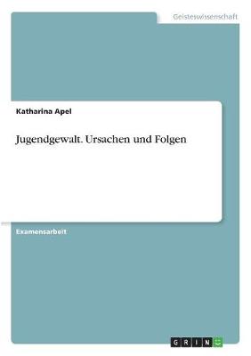 Jugendgewalt. Ursachen Und Folgen (Paperback)