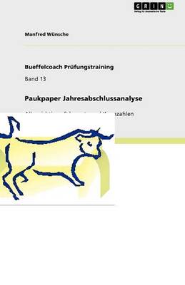 Paukpaper Jahresabschlussanalyse (Paperback)