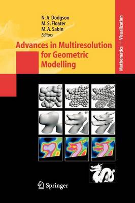 Advances in Multiresolution for Geometric Modelling - Mathematics and Visualization (Paperback)