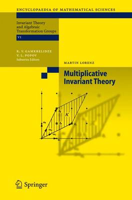 Multiplicative Invariant Theory - Encyclopaedia of Mathematical Sciences 135 (Paperback)