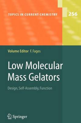 Low Molecular Mass Gelators: Design, Self-Assembly, Function - Topics in Current Chemistry 256 (Paperback)