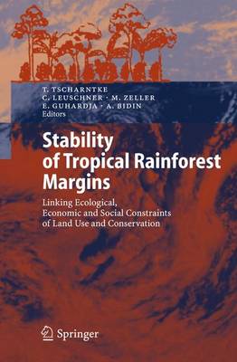 Stability of Tropical Rainforest Margins: Linking Ecological, Economic and Social Constraints of Land Use and Conservation - Environmental Science (Paperback)