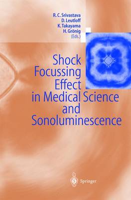 Shock Focussing Effect in Medical Science and Sonoluminescence (Paperback)