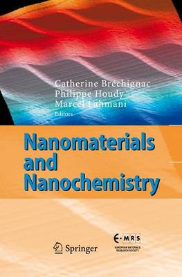 Nanomaterials and Nanochemistry (Paperback)