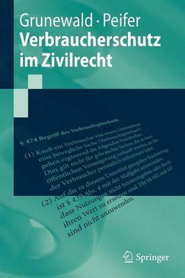 Verbraucherschutz Im Zivilrecht - Springer-Lehrbuch (Paperback)