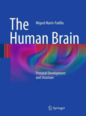 The Human Brain: Prenatal Development and Structure (Hardback)