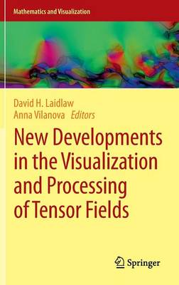 New Developments in the Visualization and Processing of Tensor Fields - Mathematics and Visualization (Hardback)