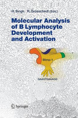 Molecular Analysis of B Lymphocyte Development and Activation - Current Topics in Microbiology and Immunology 290 (Paperback)