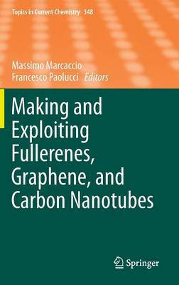 Making and Exploiting Fullerenes, Graphene, and Carbon Nanotubes - Topics in Current Chemistry 348 (Hardback)