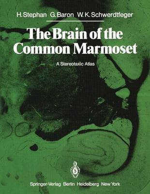 The Brain of the Common Marmoset (Callithrix jacchus): A Stereotaxic Atlas (Paperback)