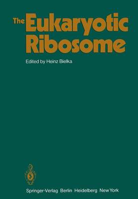 The Eukaryotic Ribosome (Paperback)