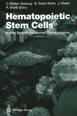 Hematopoietic Stem Cells: Animal Models and Human Transplantation - Current Topics in Microbiology and Immunology 177 (Paperback)