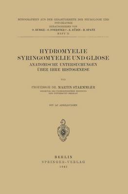 Hydromyelie Syringomyelie Und Gliose: Anatomische Untersuchungen UEber Ihre Histogenese Heft 72 - Monographien Aus Dem Gesamtgebiete der Neurologie Und Psychi 72 (Paperback)