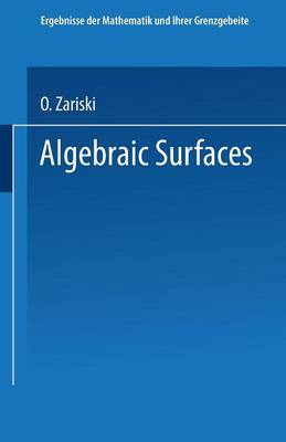 Algebraic Surfaces - Ergebnisse der Mathematik und Ihrer Grenzgebiete. 2. Folge (Paperback)