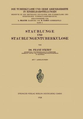 Staublunge Und Staublungentuberkulose - Die Tuberkulose Und Ihre Grenzgebiete in Einzeldarstellungen 4 (Paperback)