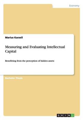 Measuring and Evaluating Intellectual Capital (Paperback)