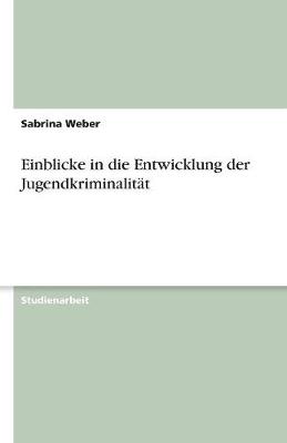 Einblicke in Die Entwicklung Der Jugendkriminalitat (Paperback)