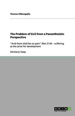 The Problem of Evil from a Panentheistic Perspective (Paperback)
