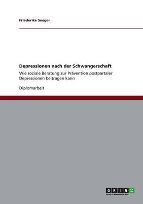 Depressionen Nach Der Schwangerschaft (Paperback)