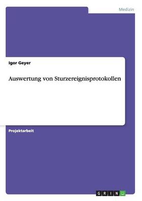 Auswertung Von Sturzereignisprotokollen (Paperback)