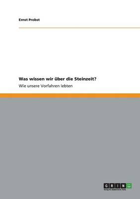 Was Wissen Wir Uber Die Steinzeit? (Paperback)