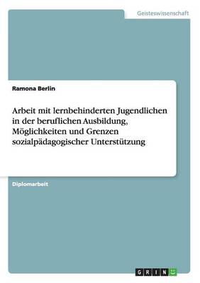 Arbeit Mit Lernbehinderten Jugendlichen in Der Beruflichen Ausbildung (Paperback)