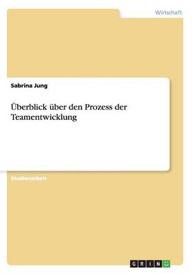 Uberblick Uber Den Prozess Der Teamentwicklung (Paperback)