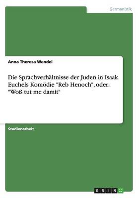Die Sprachverh ltnisse Der Juden in Isaak Euchels Kom die Reb Henoch, Oder: Wo Tut Me Damit (Paperback)