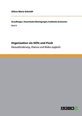 Organisation ALS Hilfe Und Fluch (Paperback)