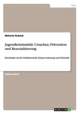 Jugendkriminalitat: Ursachen, Pravention Und Resozialisierung (Paperback)