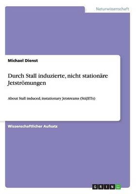 Durch Stall induzierte, nicht stationare Jetstroemungen (Paperback)