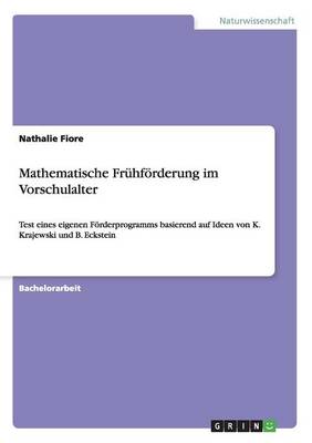 Mathematische Fruhforderung Im Vorschulalter (Paperback)
