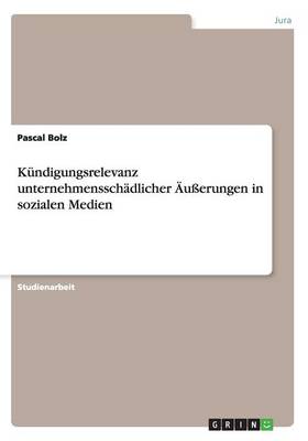 K ndigungsrelevanz Unternehmenssch dlicher u erungen in Sozialen Medien (Paperback)