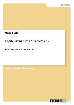 Capital Structure and Assets Risk (Paperback)