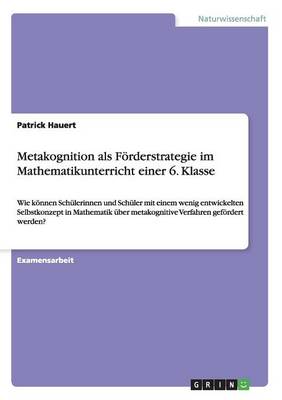Metakognition ALS Forderstrategie Im Mathematikunterricht Einer 6. Klasse (Paperback)