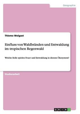 Einfluss Von Waldbranden Und Entwaldung Im Tropischen Regenwald (Paperback)