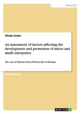 An Assessment of Factors Affecting the Development and Promotion of Micro and Small Enterprises (Paperback)
