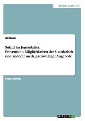 Suizid Im Jugendalter. Praventions-Moglichkeiten Der Sozialarbeit Und Anderer Niedrigschwelliger Angebote (Paperback)