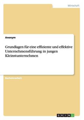 Grundlagen Fur Eine Effiziente Und Effektive Unternehmensfuhrung in Jungen Kleinstunternehmen (Paperback)
