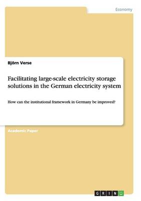 Facilitating Large-Scale Electricity Storage Solutions in the German Electricity System (Paperback)