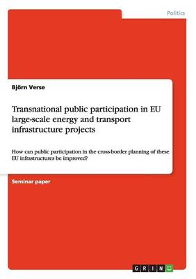 Transnational Public Participation in Eu Large-Scale Energy and Transport Infrastructure Projects (Paperback)